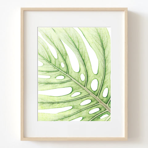 Soft Green Colored Textured Monstera Leaf Print - FL07