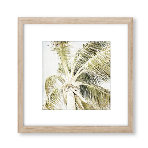 Soft Textured Coconut Palm Print - FL10