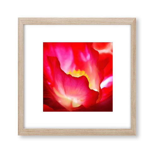 Abstract Red Flower - Modern06