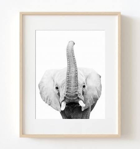Baby Elephant Trunk Up Nursery Print - NA1004