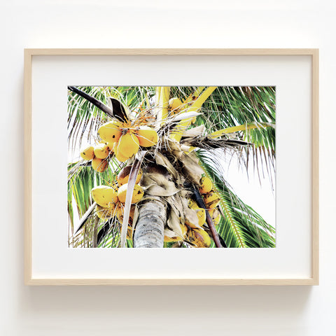 Coconut Palm Tree Print - Plant12