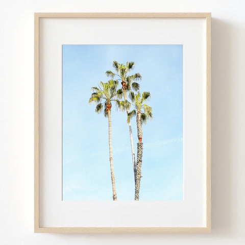 Palm Tree Trio Print - WCoast10