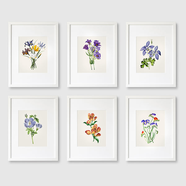 Botanical Print Set of 6 Vintage Floral Wall Art - No.1