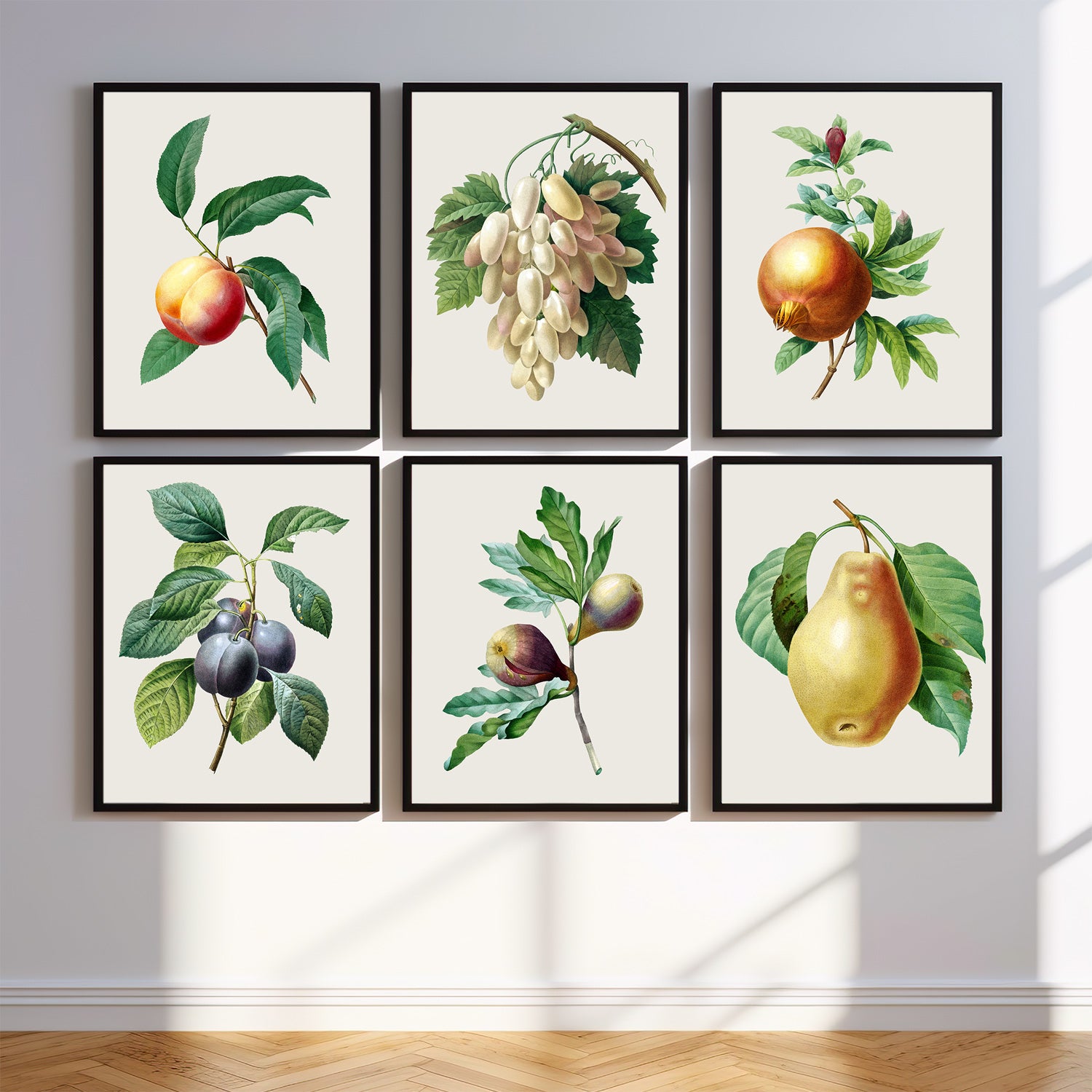 Vintage Botanical Fruit Print Set – Printable Wall Art in Multiple Sizes - No.3