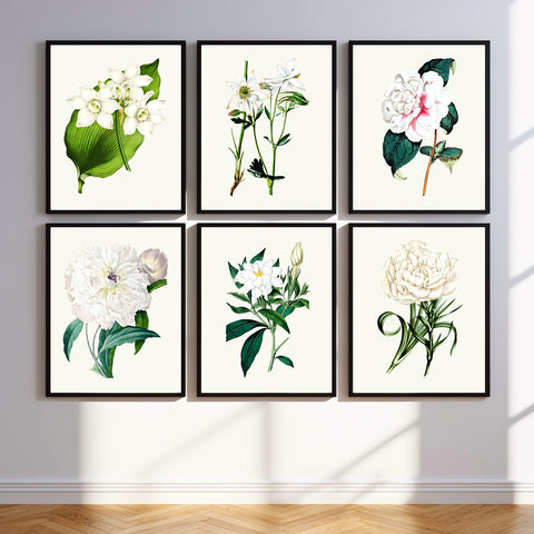 Botanical Houtte & Redoute Vintage Illustrations Floral Print Set in Multiple Sizes - No.9