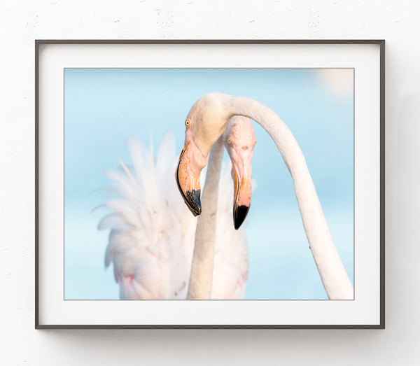 Florida Flamingos - Coastal Wall Art Print, C06