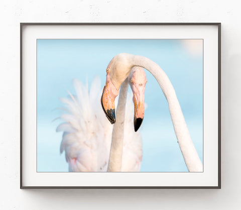 Florida Flamingos - Coastal Wall Art Print, C06
