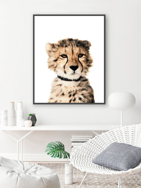 Baby Leopard Nursery Prints - Safari Animal, NA07