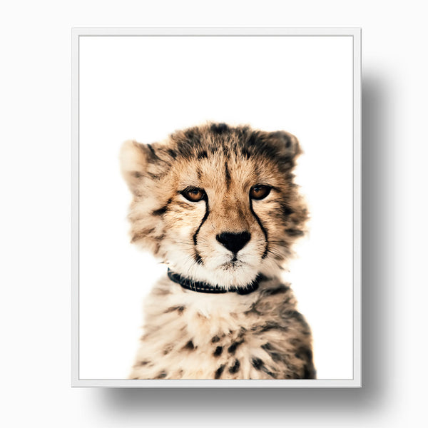 Baby Leopard Nursery Prints - Safari Animal, NA07