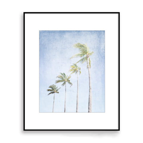 Palm Tree Row - Fine Art Coastal Print, FC02