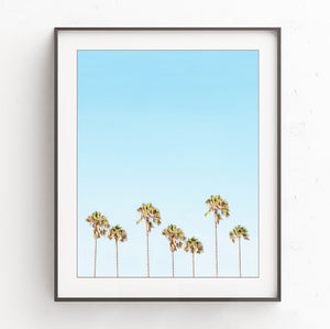 Palm Tree Crowns - Coastal Wall Art Print, C20