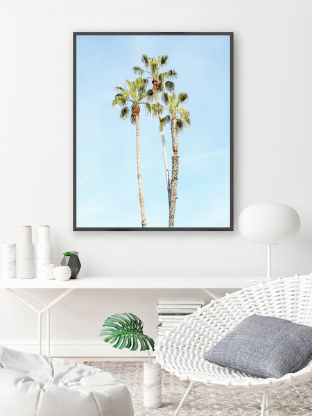 Palm Tree Trio - Coastal Wall Art Print, C03