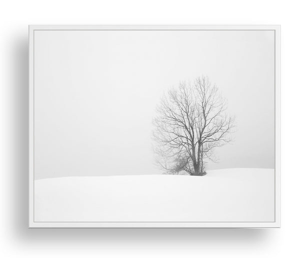 Winter Solitude - Landscape Wall Art, LS08