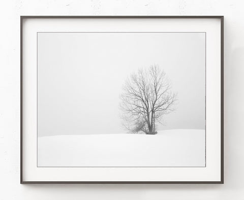 Winter Solitude - Landscape Wall Art, LS08