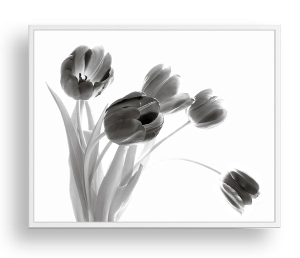 Tulips Bouquet, Black and White - Botanical Wall Art, BA12