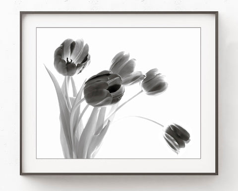Tulips Bouquet, Black and White - Botanical Wall Art, BA12