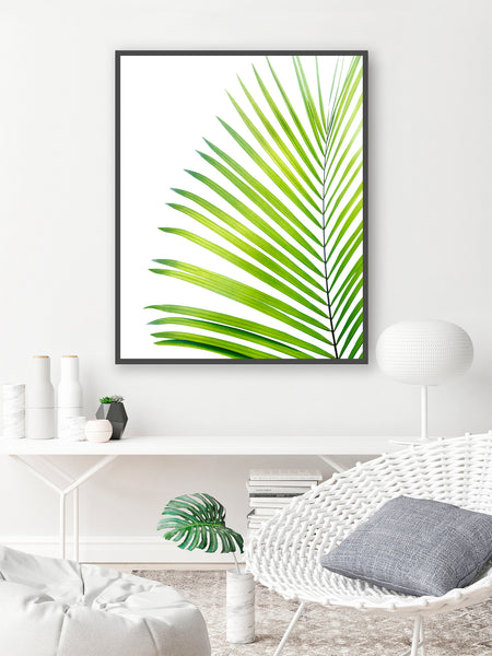 Light Green Palm Leaf - Coastal Wall Art Print, C11