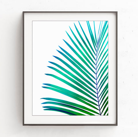 Turquoise Green Palm Leaf - Botanical Wall Art, BA22