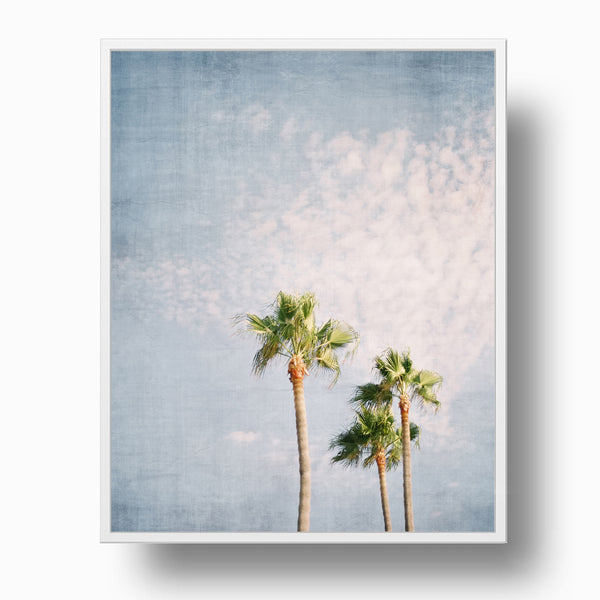 Palm Tree Trio Coastal Textured Print - Coast07