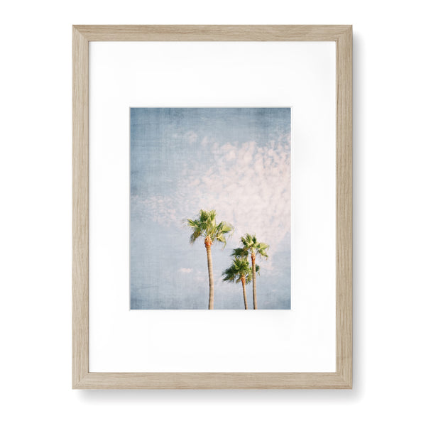 Palm Tree Trio Coastal Textured Print - Coast07