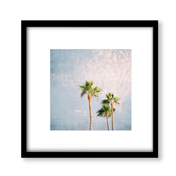 Palm Tree Trio Coastal Textured Print - Coast07