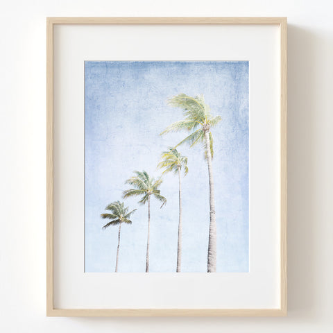 Pastel Pale Aqua Blue Coastal Palm Tree Row Textured Print - Coast10