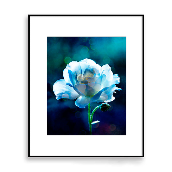 Dreamy Pastel Creamy Blue Greens Rose Textured Print - FL01