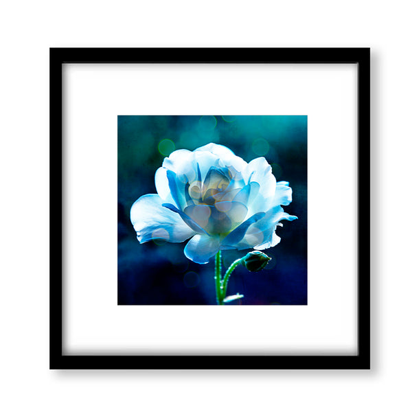 Dreamy Pastel Creamy Blue Greens Rose Textured Print - FL01