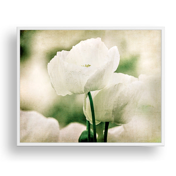 Soft Dreamy Cream Colored Textured Flower Print - FL02B