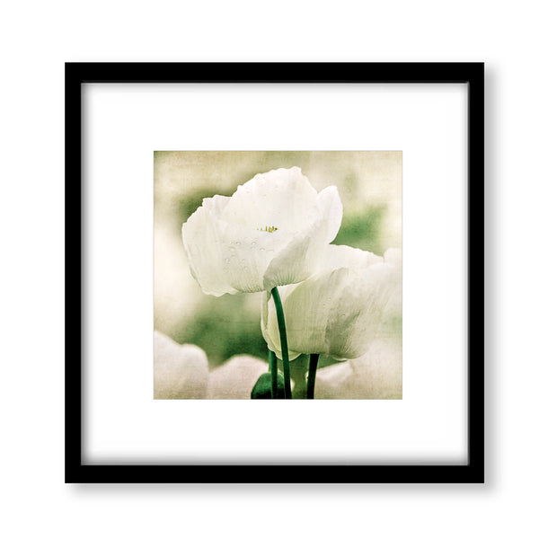 Soft Dreamy Cream Colored Textured Flower Print - FL02B