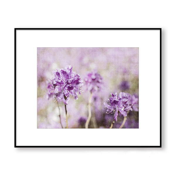 Flower Field with Soft Violet and Purple Tones Textured Print - FL03