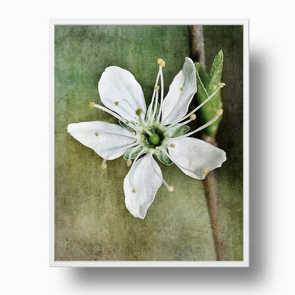 White Petal Flower in Pastel Green Cream Textured Print - FL04