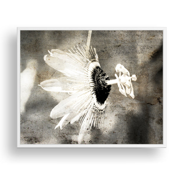 Sepia Rustic Passion Flower Textured Print - FL05