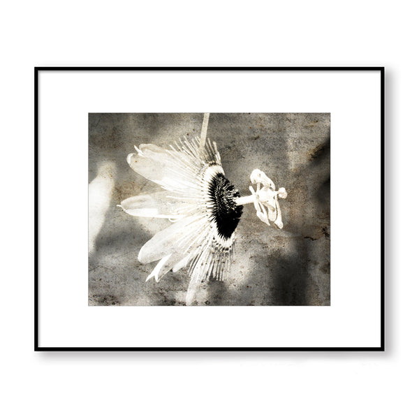 Sepia Rustic Passion Flower Textured Print - FL05