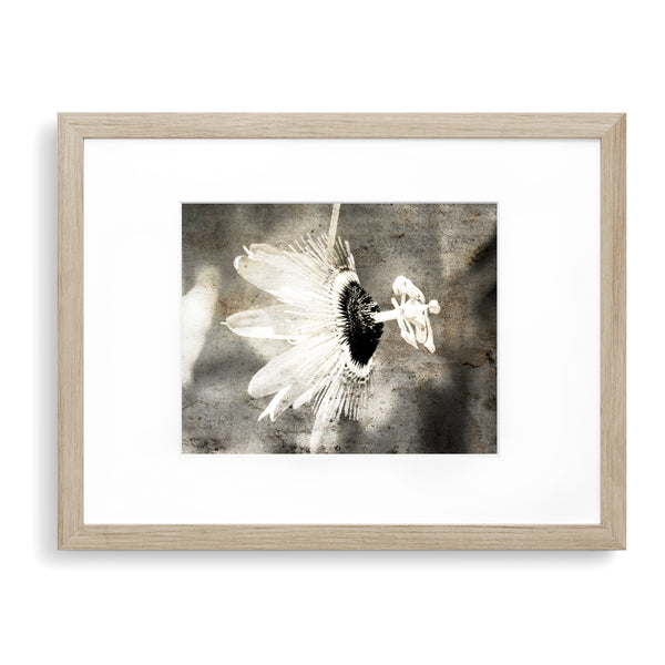 Sepia Rustic Passion Flower Textured Print - FL05