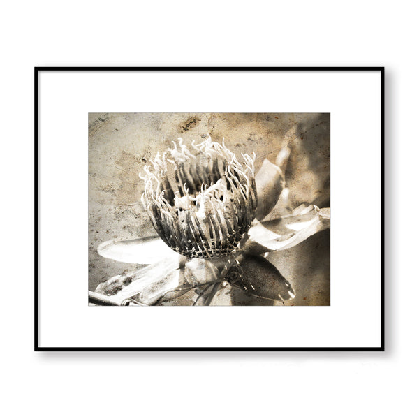 Rustic Moody Passion Flower Textured Print - FL06