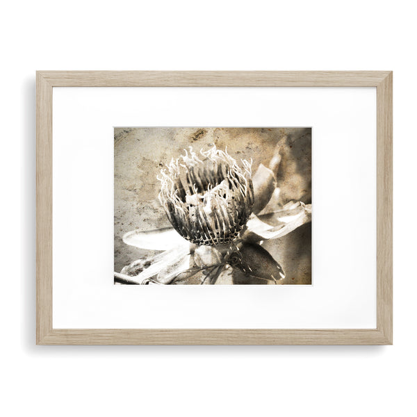 Rustic Moody Passion Flower Textured Print - FL06