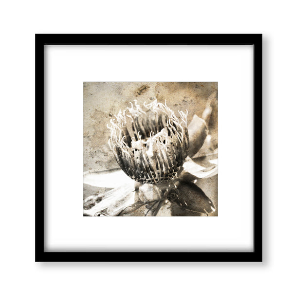 Rustic Moody Passion Flower Textured Print - FL06