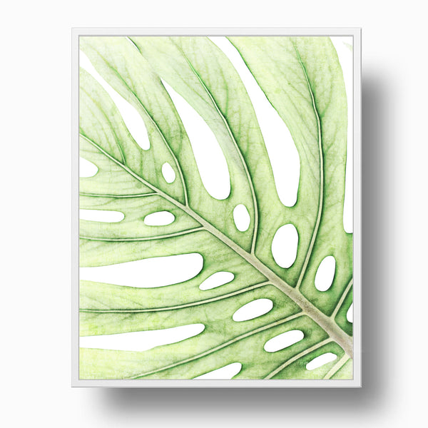 Soft Green Colored Textured Monstera Leaf Print - FL07