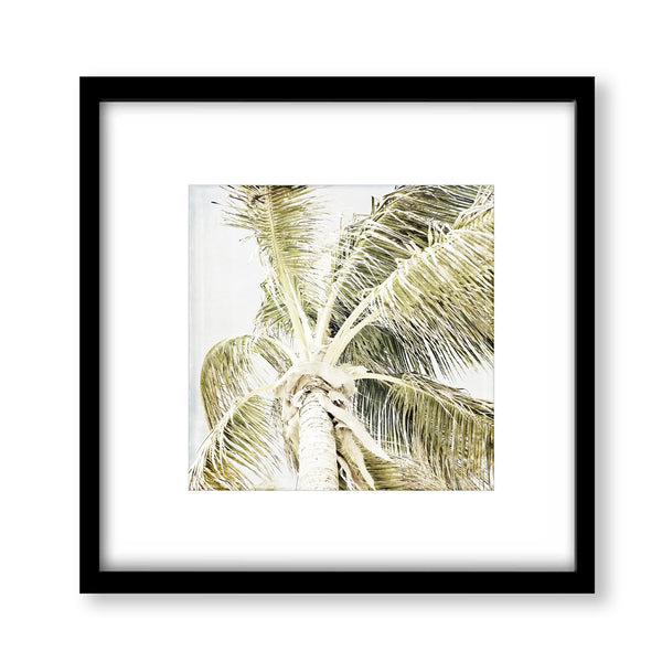 Soft Textured Coconut Palm Print - FL10