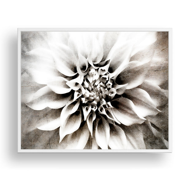 Monochrome Tone Textured Flower Print - FL11