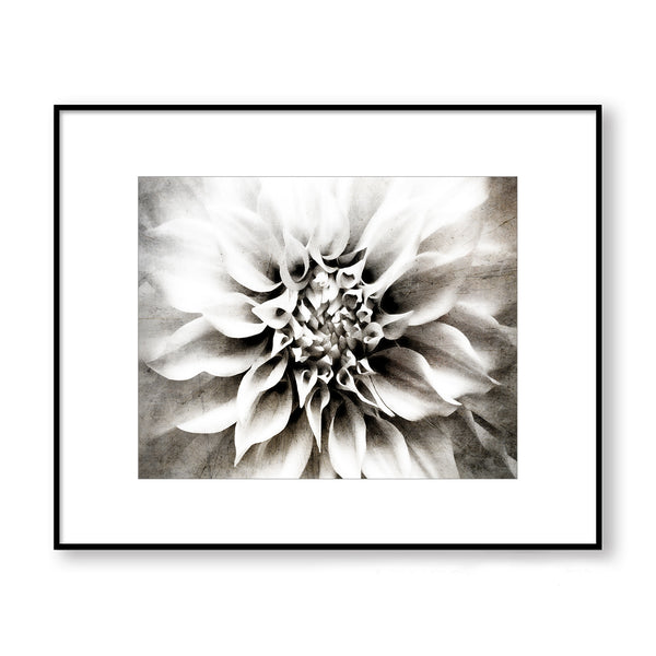 Monochrome Tone Textured Flower Print - FL11