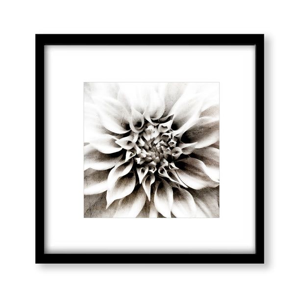 Monochrome Tone Textured Flower Print - FL11