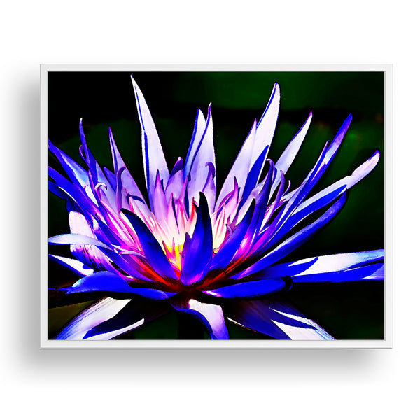 Water Lily Textured Painting Print - FL14