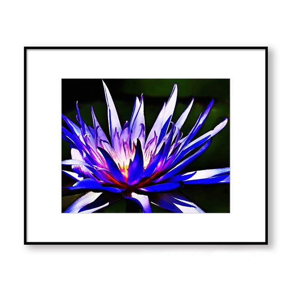 Water Lily Textured Painting Print - FL14