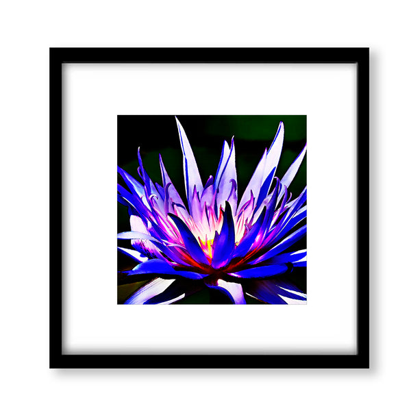 Water Lily Textured Painting Print - FL14