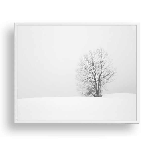 Winter Solitude - Snowy Field - Farm08