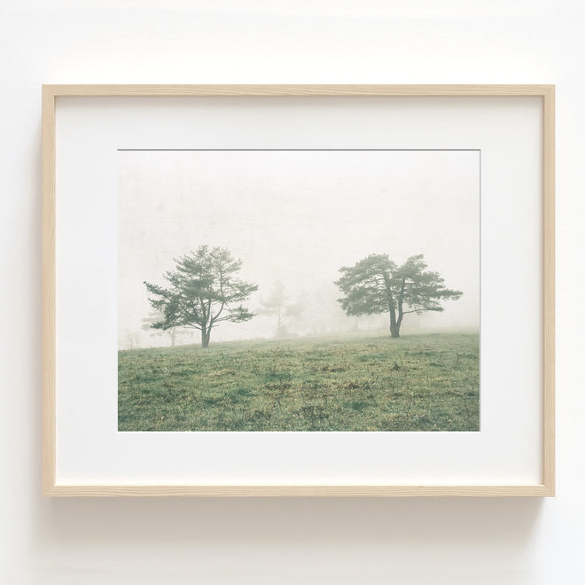Wall Art - Farmhouse / Rustic