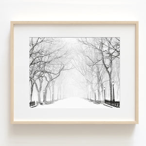 Snowy Winter Morning in the Park - Landscape Print - LS03