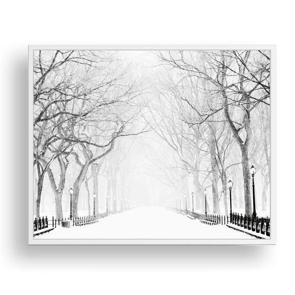 Snowy Winter Morning in the Park - Landscape Print - LS03